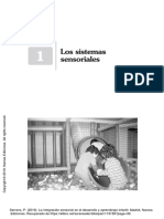 Los Sitemas Sensoriales-La Integración Sensorial en El Desarrollo y Aprendizaje Infantil (2019) .