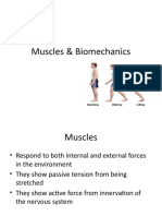 b Muscles___Biomechanics_student