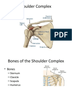 D Shoulder Complex Student