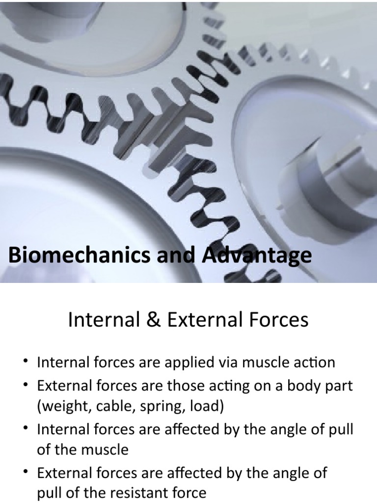 C Biomechanics and Advantage PDF Vertebral Column Force