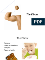 F Elbow and Wrist