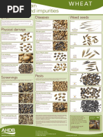 Inspecting Grain For Defects and Impurities Poster