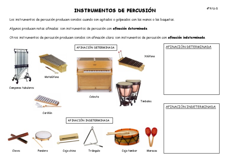 Penetración Aventurero alojamiento T-5 - Instrumentos de Percusión | PDF