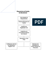 Rectificacion de Partidas