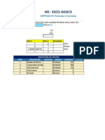 CAPITULO VII Formulas y Funciones