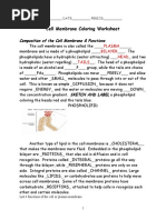 Cell Membrane Coloring Worksheet With ANSWERS