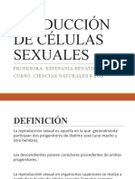 Produccion de Gametos Sexuales