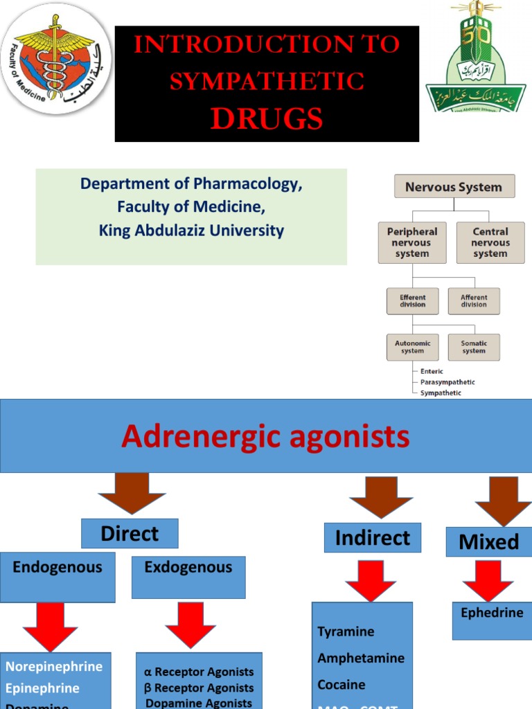 Overview of Sympathetic Drugs and Agonists | PDF | Norepinephrine ...