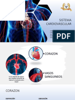 Sistema Cardiovascular