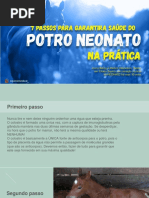 7 passos para garantirA SAÚDE do potro NEONATO2