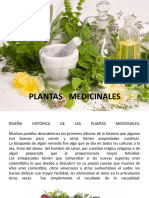 Plantas Medicinales