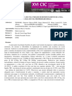 Viabilidade Econômica de Uma Unidade de Beneficiamento de Aveia