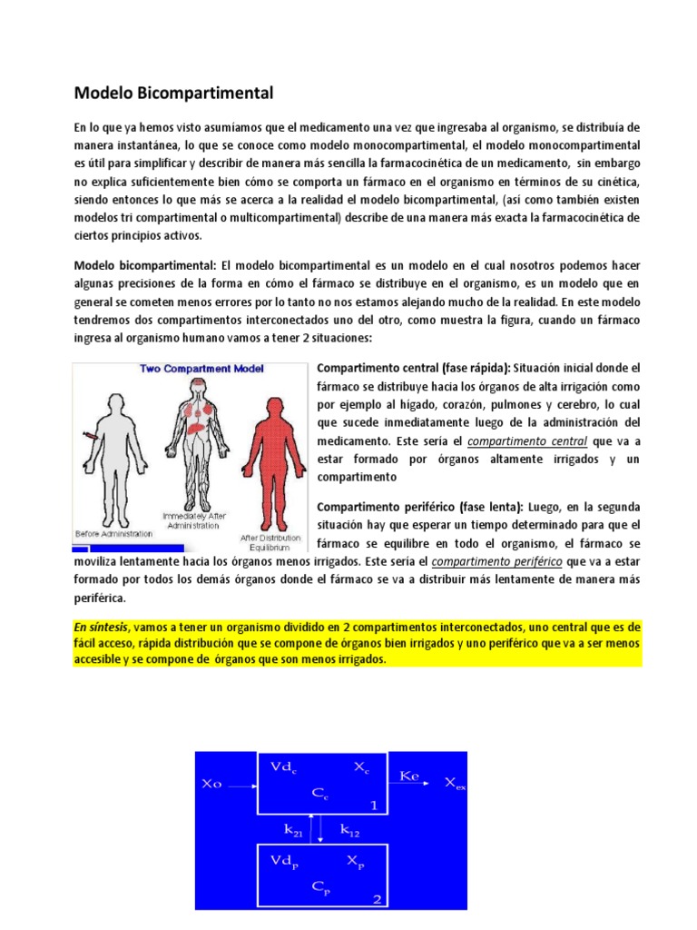 Clase 9 - Modelo Bicompartimental | PDF | Biodisponibilidad |  Farmacocinética