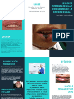 Lesiones Pigmentadas Más Frecuentes de La Cavidad Bucal.