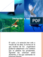 Exposicion Natacion y Vuelo