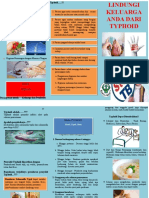 304839271 Leaflet Typhoid