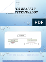 Costos Reales y Predeterminados