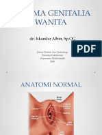 Trauma Genitalia Wanita