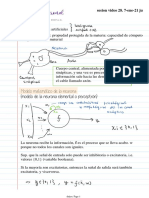 Cómputo Neuronal