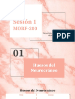 SESION 1 MORF 200_compressed-2