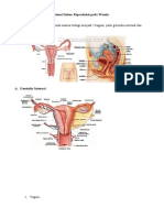 Anatomi Organ Reproduksi Wanita