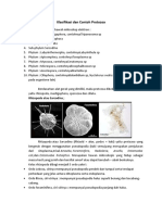 Klasifikasi Dan Contoh Protozoa