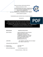 Informe de Proyeccion Iqcm Corregido
