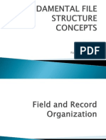 Fundamental File Structure Concepts-Report