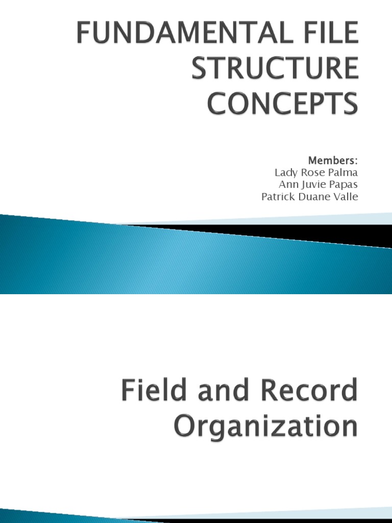 Fundamental File Structure Concepts-Report | PDF | Byte | Computer File