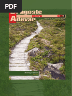 Revista Dragoste Pentru Adevăr - Nr. 65/2020