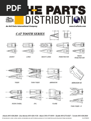 cat tooth