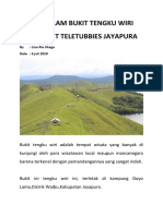 Pesona Alam Bukit Tengkuwiri Atau Bukit Teletabbies Jayapura