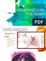 Cardiovascular The Heart