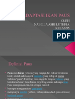 Adaptasi Ikan Paus