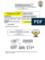 Guia 1 Ciencias Naturales 5°