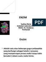 Enzyme 1 - 2015