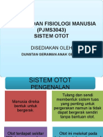 Anatomi Dan Fisiologi Sistem Otot