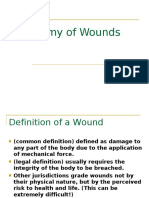 anatomyofwounds