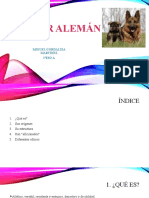 fdocuments.ec_power-point-pastor-aleman