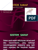 Sistem Saraf