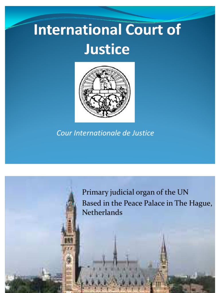 International Court of Justice Legal Organizations Judiciaries