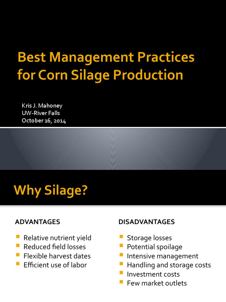 Best practices for high-yielding corn silage production | PDF | Maize ...