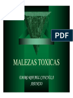 Malezas Toxicas