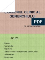 Guide to Clinical Examination of the Knee