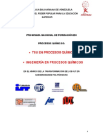 documento-rector-pnf_pq-ver-1-val-28-06-11