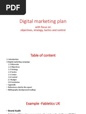 Digital Marketing Plan Example