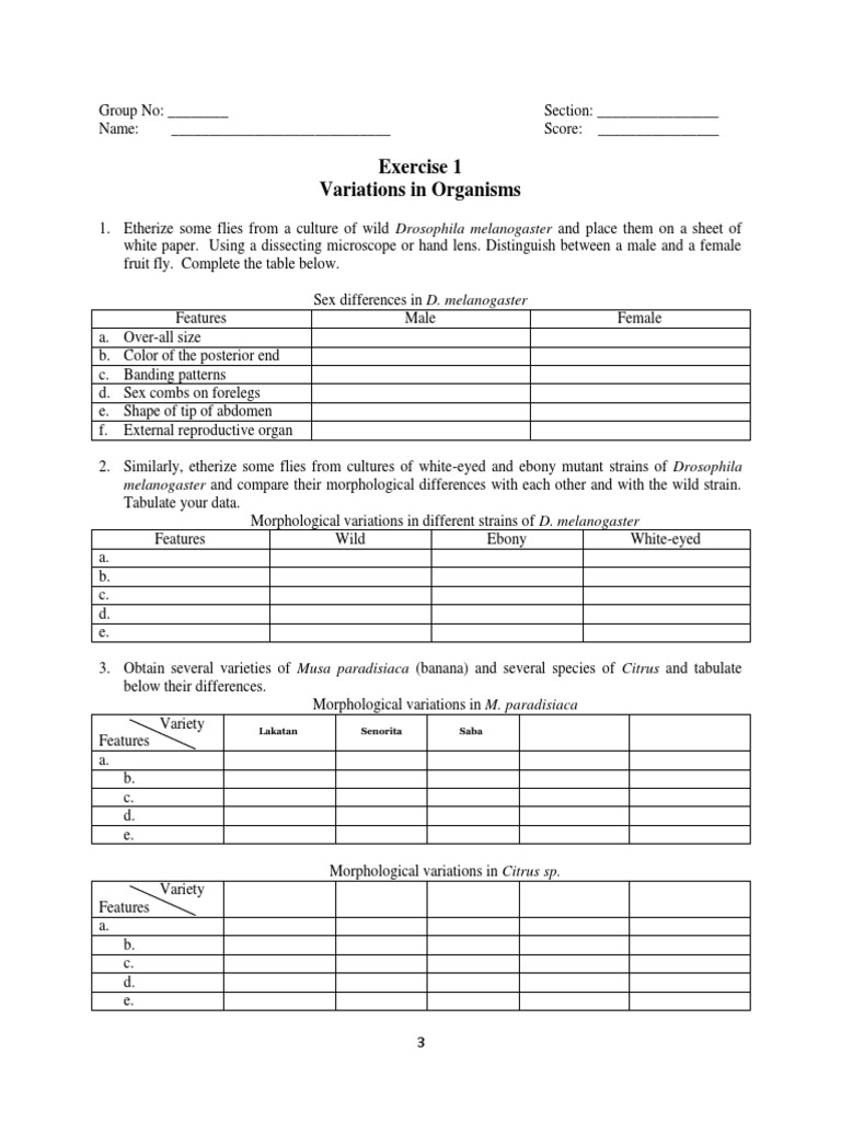 Drosophila Variations and Genetics Lab | PDF | Drosophila Melanogaster ...