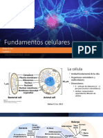 Fundamentos Celulares, Químicos, Físicos, Genéticos