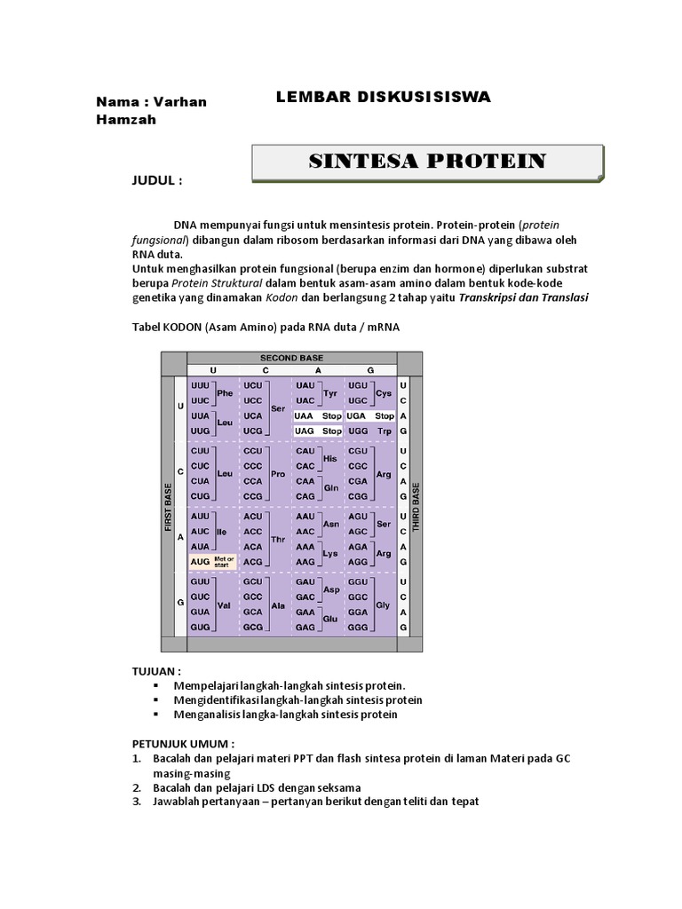 Varhan Hamzah Lks Sintesa Protein 1 Pdf