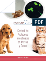 Control de protozoos en perros y gatos